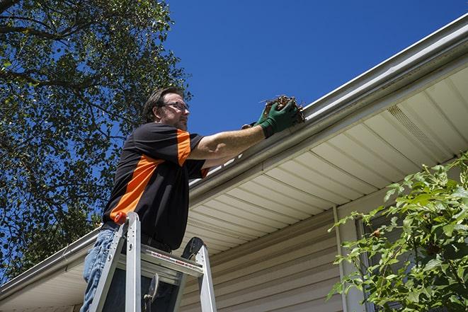 gutter repairman inspecting a damaged downspout in Grayslake, IL